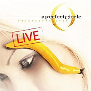 Disco Thirteenth Step - Live de A Perfect Circle