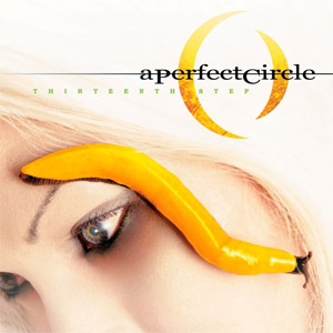 Disco Thirteenth Step de A Perfect Circle