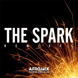 Disco The Spark (Remixes) de Afrojack