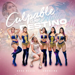 Disco Culpable Es Mi Destino de Agua Bella