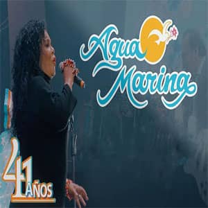Disco 41 Años de Agua Marina
