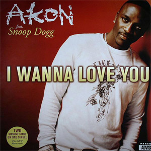 Disco Wanna Love You de Akon