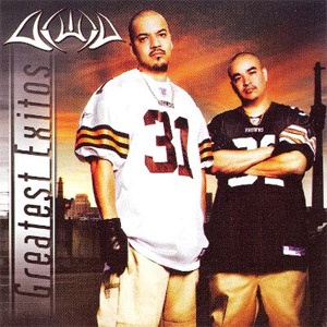 Disco Greatest Exitos de Akwid