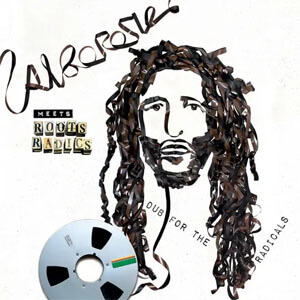 Disco Meets Roots Radics: Dub for the Radicals de Alborosie