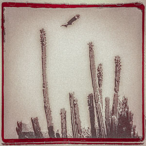 Disco La Cruzada de Alejandro Escovedo