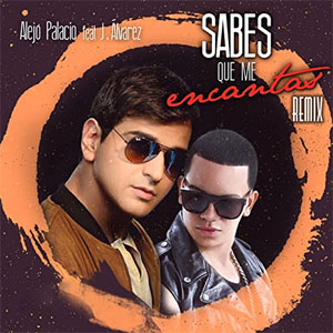 Disco Sabes Que Me Encantas (Remix) de Alejandro Palacio