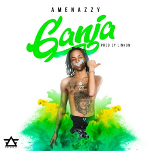 Disco Ganja de Amenazzy
