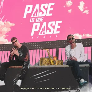 Disco Pase Lo Que Pase (Remix) de Andrez Babii