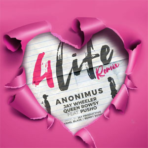 Disco 4 Life (Remix) de Anonimus