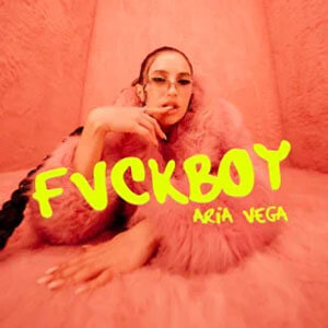 Disco Fvckboy de Aria Vega