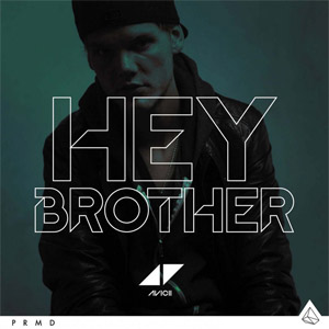 Disco Hey Brother de Avicii