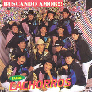 Disco Buscando Amor de Banda Cachorros
