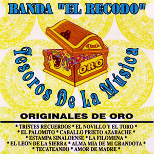 Disco Tesoros De La Música de Banda El Recodo