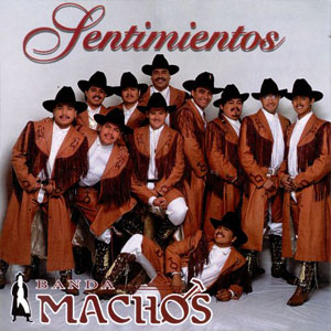 Disco Sentimientos de Banda Machos
