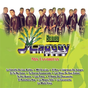 Disco Mis Favoritas de Banda Maguey
