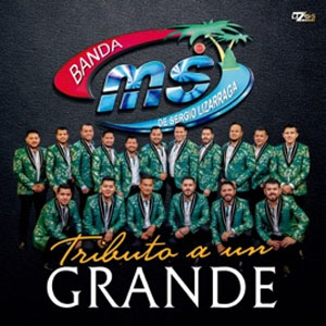Disco Tributo A Un Grande de Banda MS