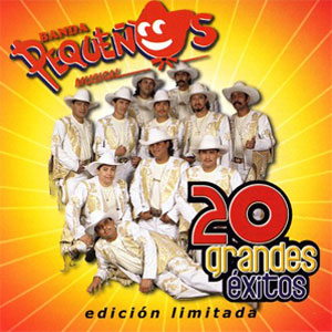 Disco 20 Grandes Éxitos de Banda Pequeños Musical