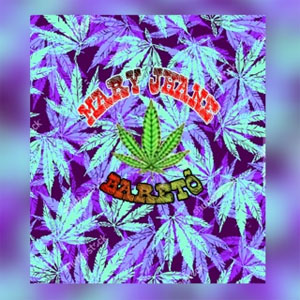 Disco Mary Jhane de Bareto