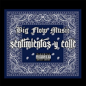 Disco Sentimientos Y Calle de Big Flow Music