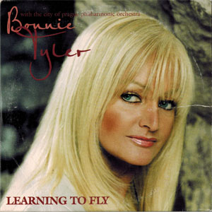 Disco Learning To Fly de Bonnie Tyler