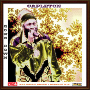 Disco Gone Down (The Green Raver Dubstep Mix) de Capleton