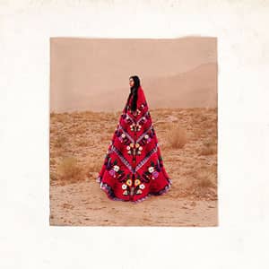 Disco Bienaventuranza Remixes de Chancha Vía Circuito