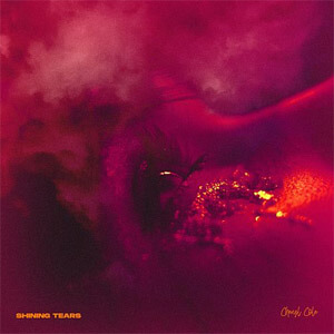 Disco Shining Tear de Cheryl Cole