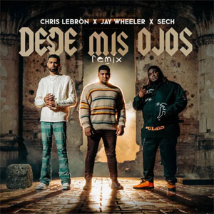 Disco Desde Mis Ojos (Remix) de Chris Lebron