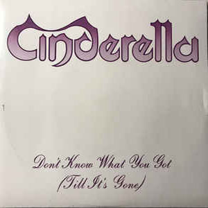 Disco Don't Know What You Got (Till It's Gone) de Cinderella