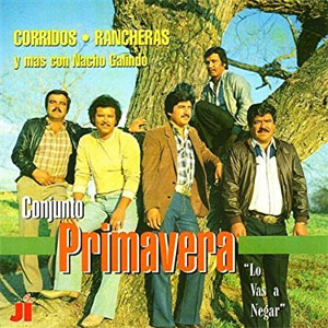 Disco Lo Vas A Negar de Conjunto Primavera