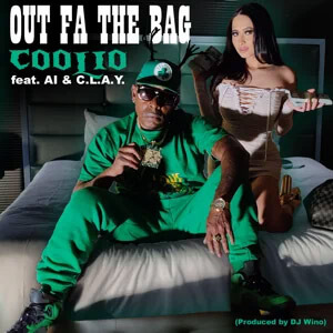 Disco Out Fa the Bag de Coolio