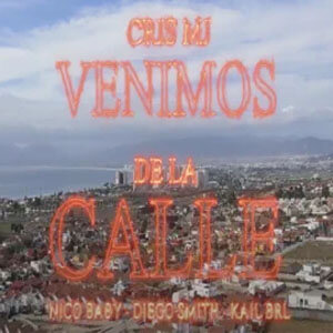 Disco Venimos de la Calle (Remix) de Cris MJ