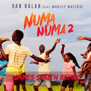 Disco Numa Numa 2 (James South Remix) de Dan Balan