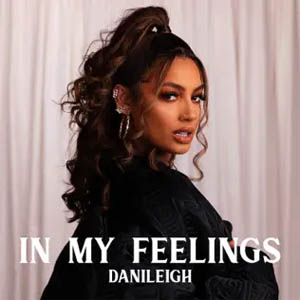 Disco In My Feelings de DaniLeigh