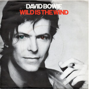 Disco Wild Is The Wind de David Bowie