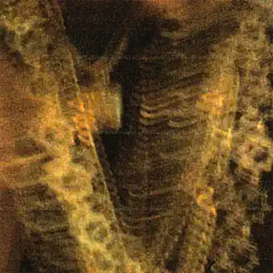 Álbum Sharila de Dellafuente