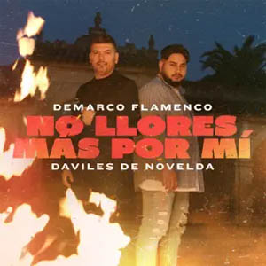 Disco No Llores Más Por Mi de Demarco Flamenco