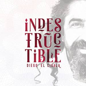 Disco Indestructible de Diego El Cigala