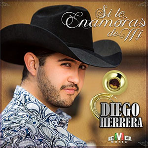 Disco Si Te Enamoras de Mi  de Diego Herrera