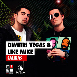 Disco Salinas de Dimitri Vegas & Like Mike
