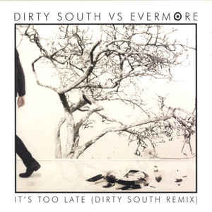Disco It's Too Late (Dirty South Mix) de Dirty South