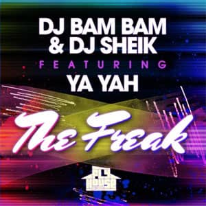 Disco The Freak de DJ Bam Bam