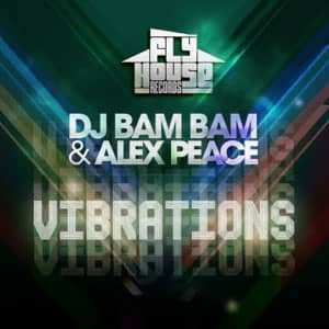 Disco Vibrations de DJ Bam Bam
