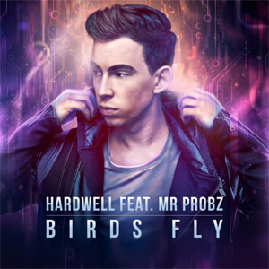 Disco Birds Fly (Remix) de DJ Hardwell
