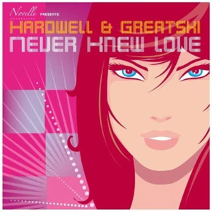 Disco Never Knew Love de DJ Hardwell