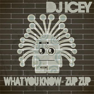 Disco What You Know de DJ Icey