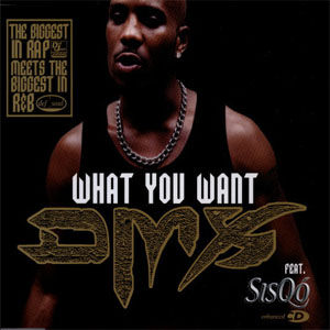 Disco What You Want de DMX