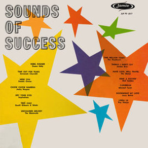 Disco Sounds of Success de Duane Eddy
