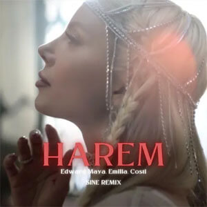 Disco Harem (Sine Remix) de Edward Maya