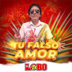 Disco Tu Falso Amor de El Lobo y La Sociedad Privada
